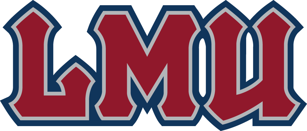 Loyola Marymount Lions 2008-2018 Wordmark Logo iron on transfers for T-shirts